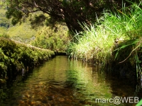 25_Fontes__13_