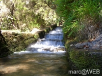 25_Fontes__19_