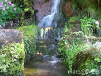 25_Fontes__20_