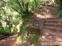 25_Fontes__26_