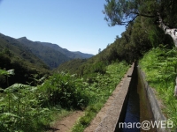25_Fontes__3_