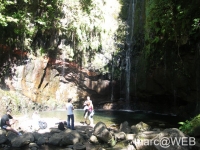 25_Fontes__4_