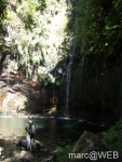 25_Fontes__6_