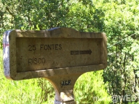 25_Fontes__7_