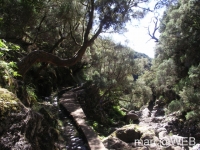 25_Fontes__9_