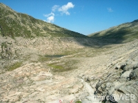 IM005871