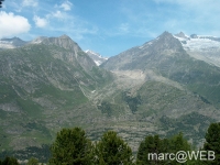 IM006011