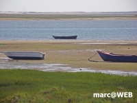 PICT0005.JPG