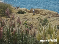 PICT0009.JPG