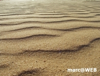 PICT0037.JPG