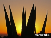 PICT0109.JPG