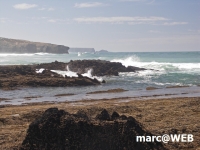 PICT0124.JPG