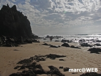 PICT0165a.JPG