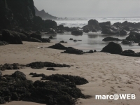PICT0170.JPG