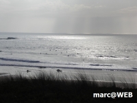 PICT0210.JPG