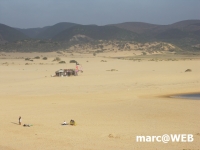PICT0221.JPG