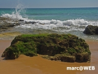 PICT0307.JPG