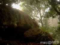 Anaga__12_