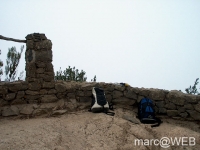 Anaga__21_