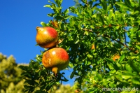 Andalusien-18