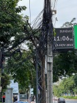 20231119-110629-IMG_3066