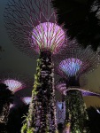 20231124-191252-IMG_3298