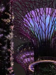 20231124-191302-IMG_3299