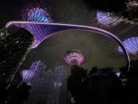 20231124-192019-IMG_3304