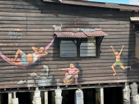 20231127-110912-IMG_3361
