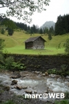 DSC01647.JPG