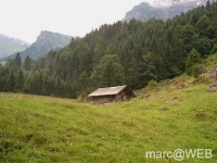 Bluemlisalp__1_