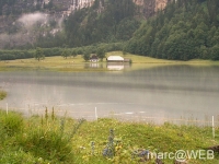 Bluemlisalp__2_
