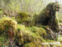 PICT0135.JPG