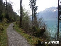 PICT0137.JPG