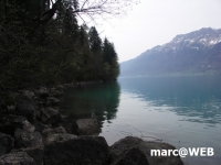 PICT0139.JPG