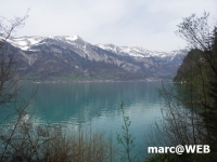 PICT0145.JPG