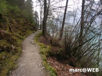 PICT0147.JPG