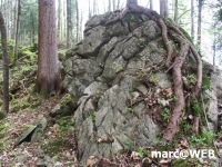 PICT0173.JPG