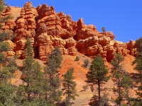 Bryce__7_.JPG