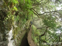 Caldeirao_Verde__10_