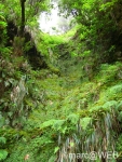 Caldeirao_Verde__12_