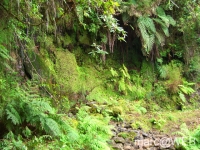 Caldeirao_Verde__16_