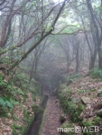 Caldeirao_Verde__21_