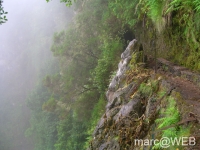 Caldeirao_Verde__23_