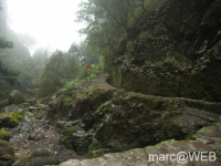 Caldeirao_Verde__24_