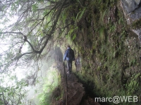 Caldeirao_Verde__26_
