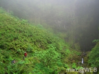 Caldeirao_Verde__27_