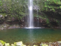 Caldeirao_Verde__29_