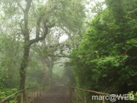 Caldeirao_Verde__2_