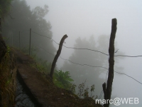 Caldeirao_Verde__33_